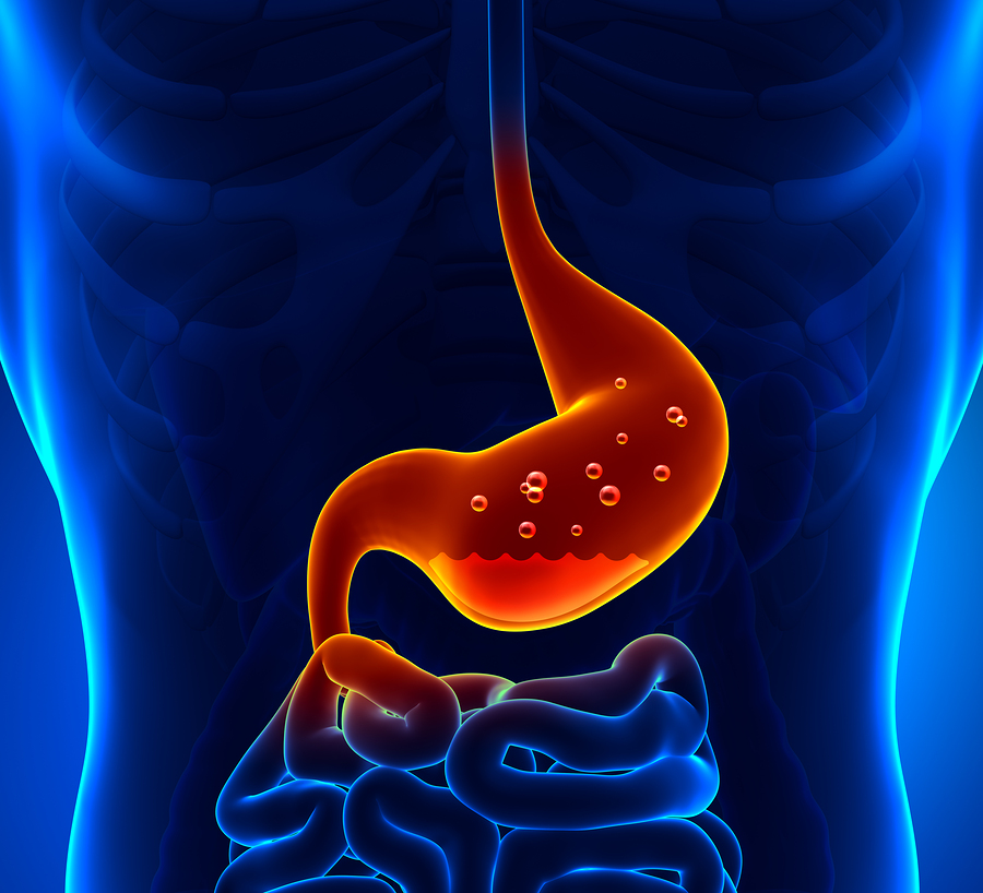 Gastric Acid